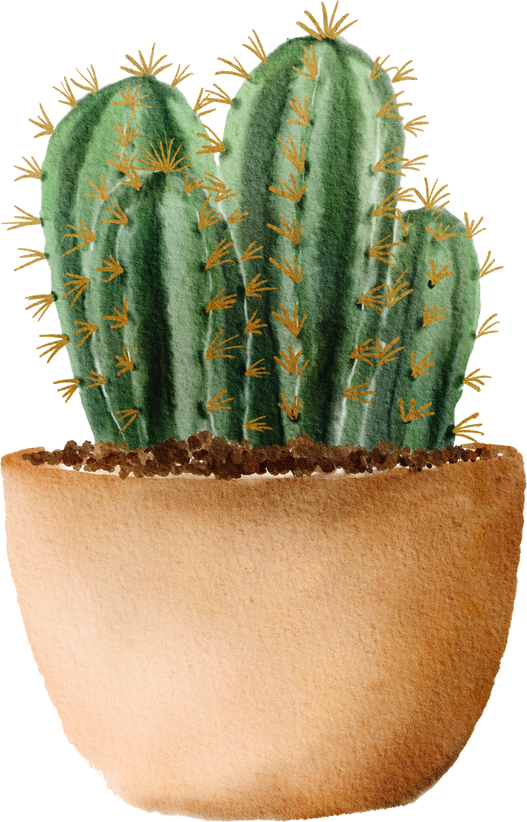 Small Cactus in a Pot